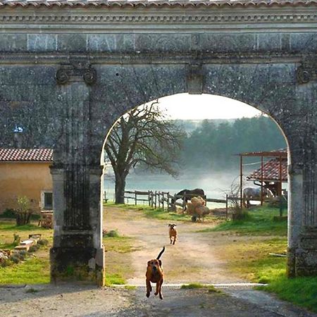 Domaine De Chantemerle B'Nb Marsac  Exteriör bild