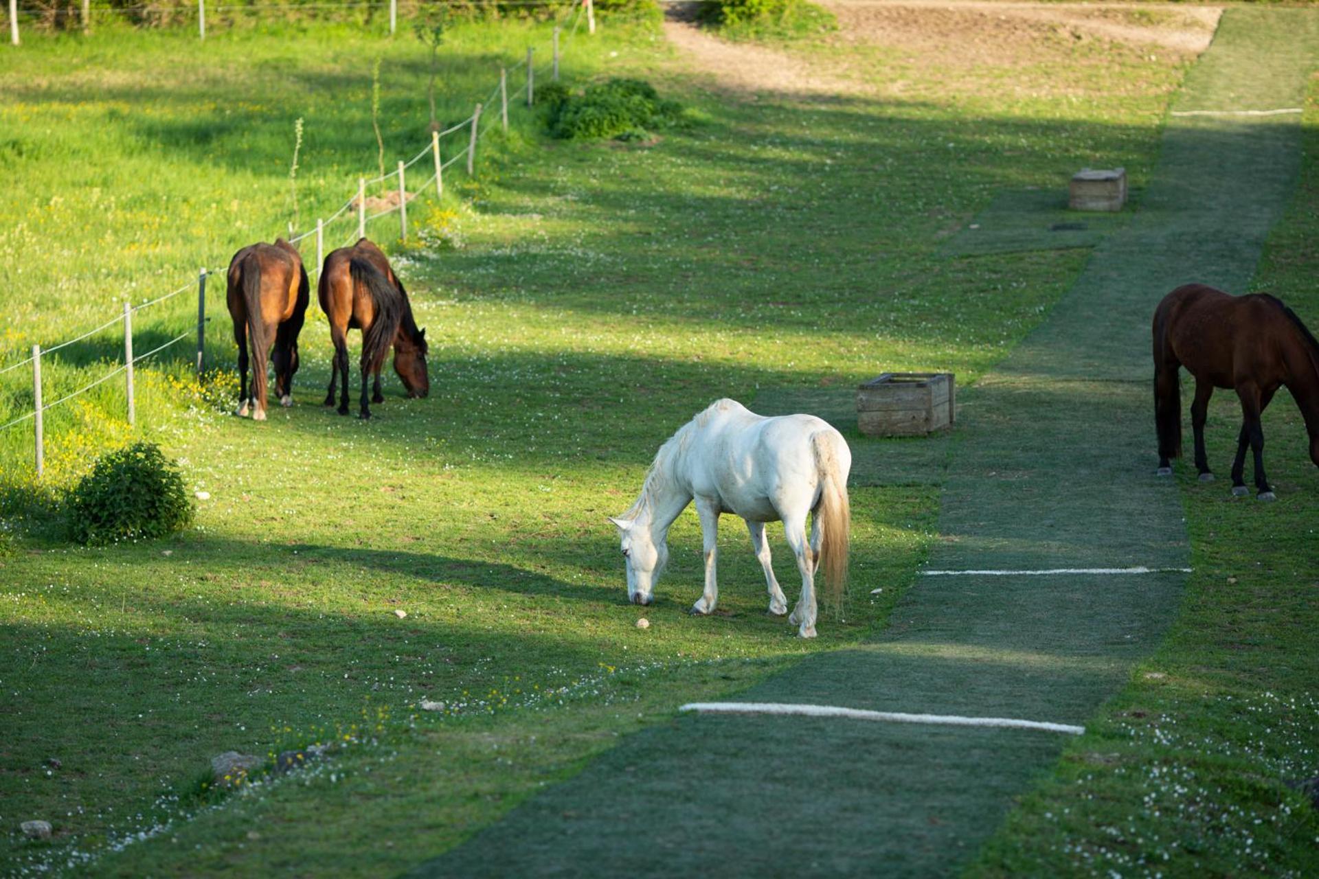 Domaine De Chantemerle B'Nb Marsac  Exteriör bild