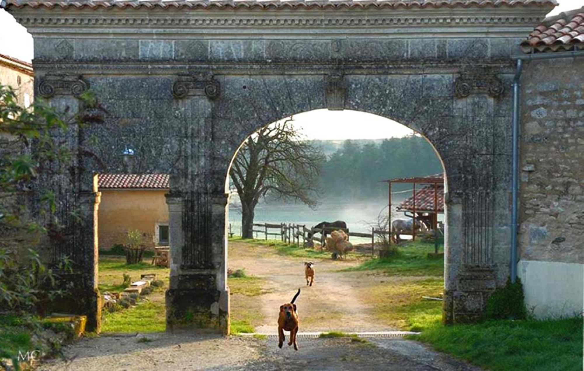 Domaine De Chantemerle B'Nb Marsac  Exteriör bild